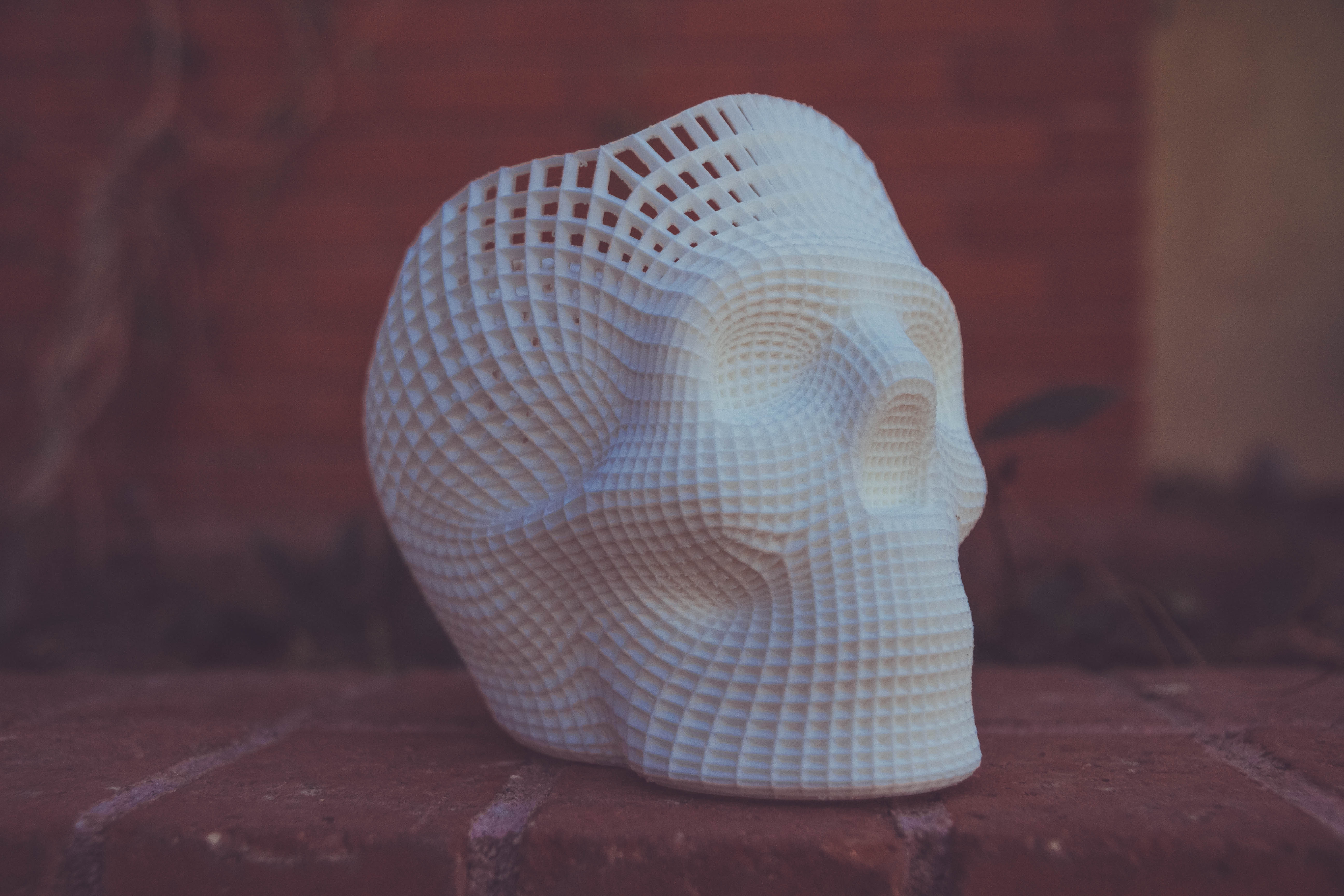 skull